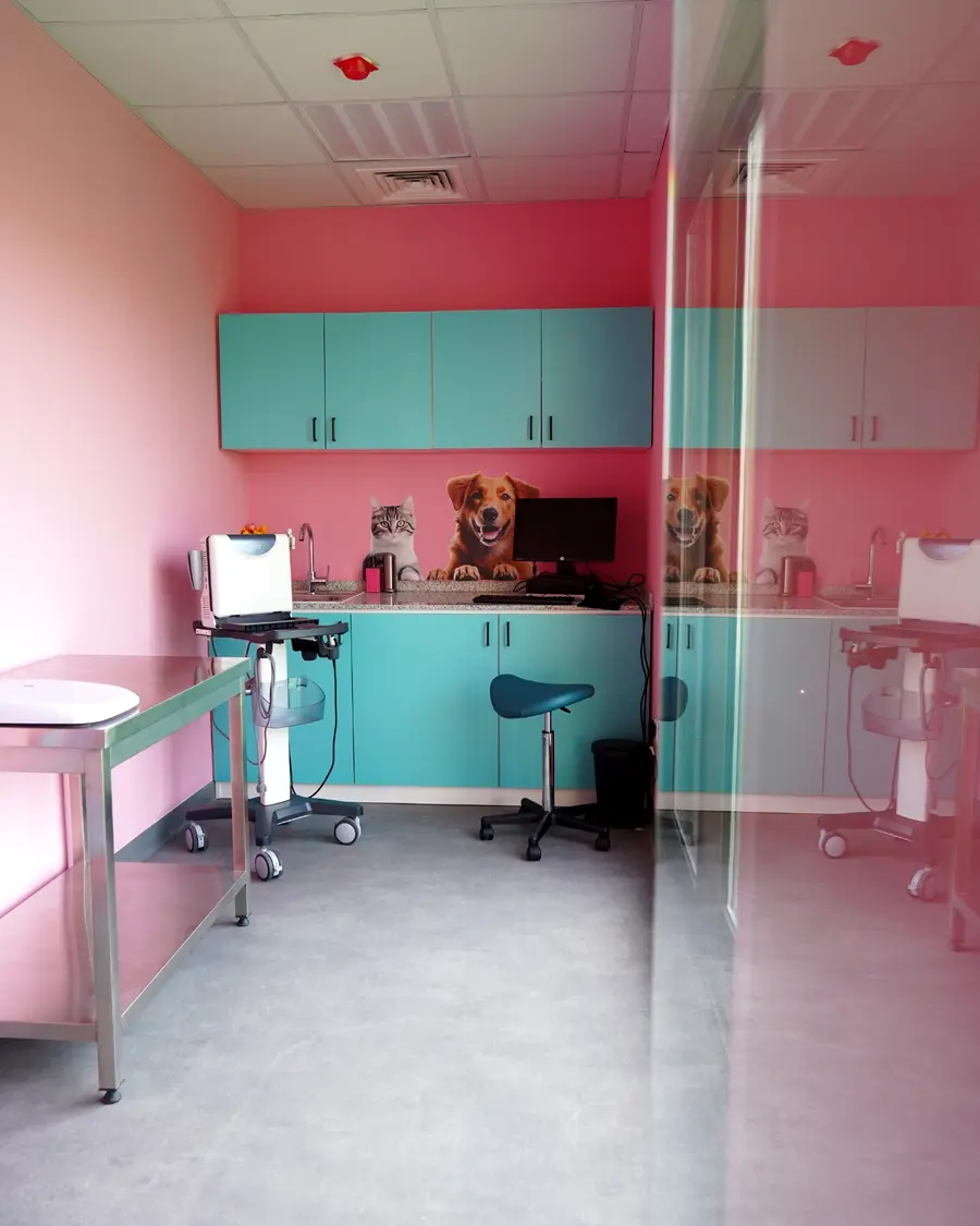 Treatment room at The Pet Doctor in Sharjah